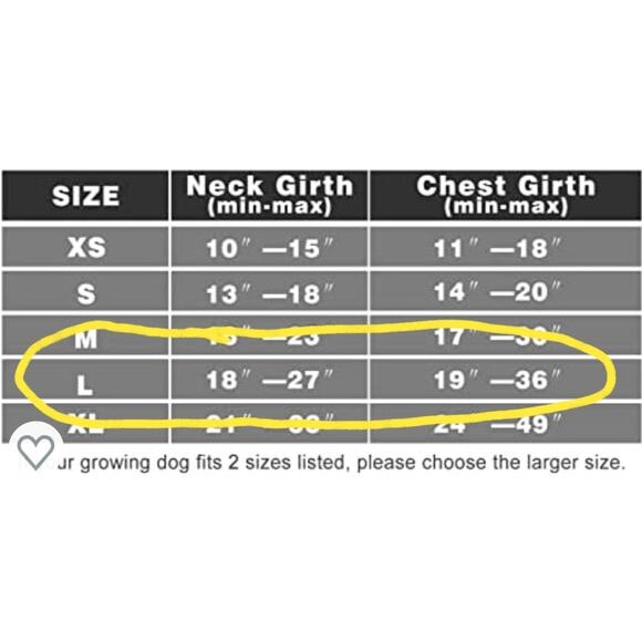 WINSEE Dog No Pull Harness with Dog Collar | Adjustable Reflective Outdoor Vest - Picture 4 of 6